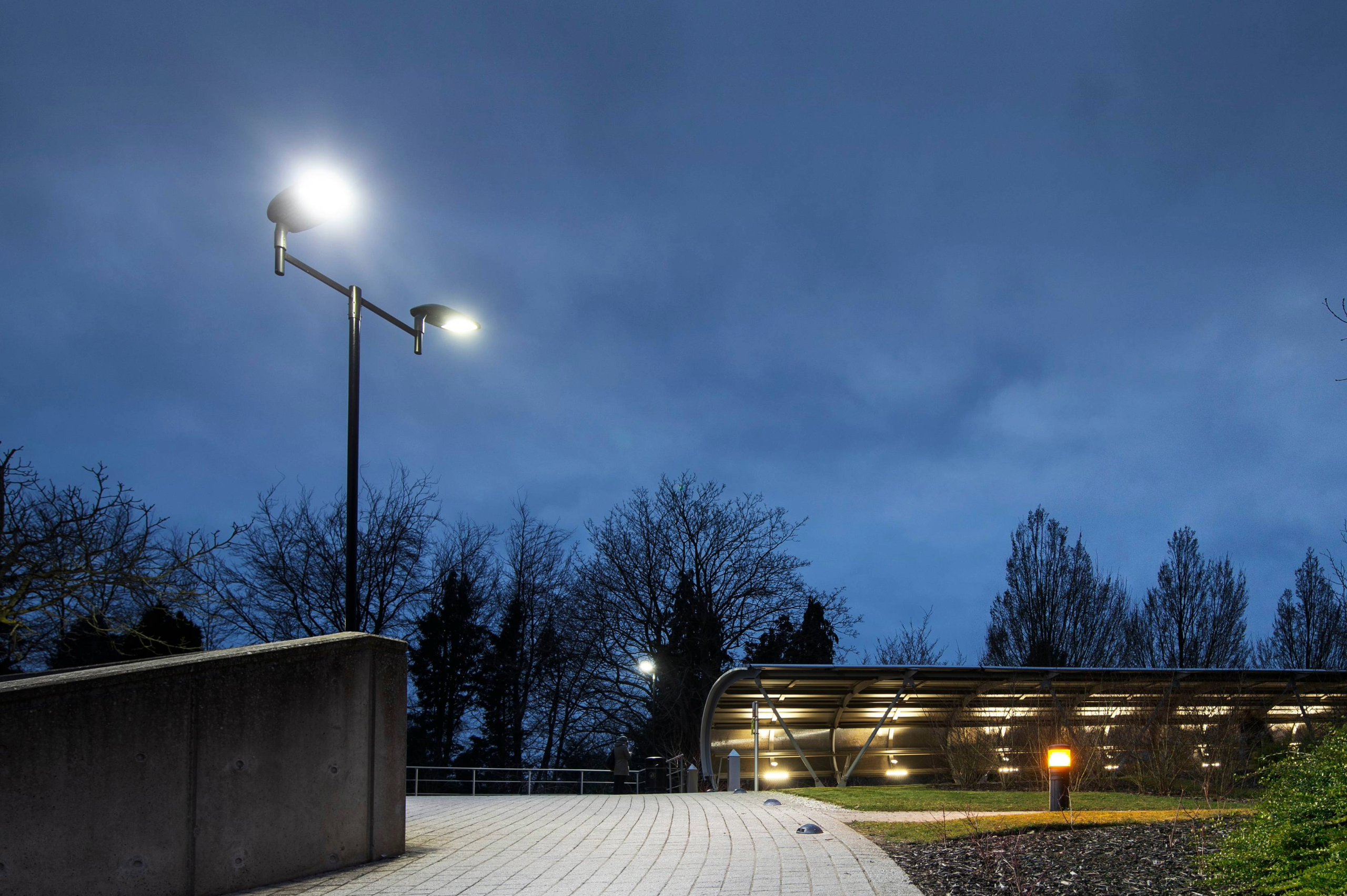 Pathway lighting at dusk